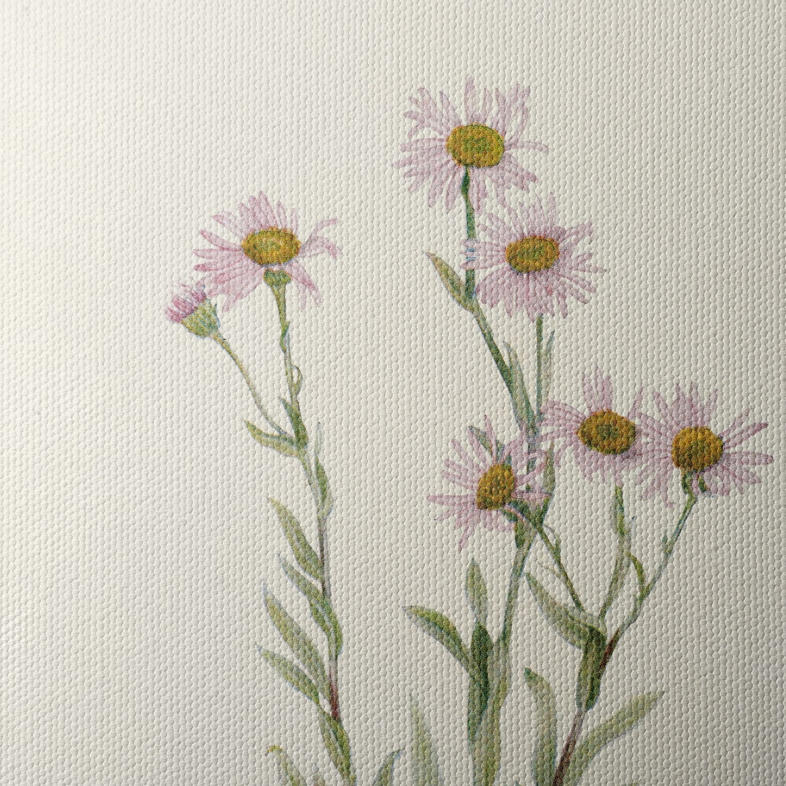 Delicate Floral Botanical Art 5 - Image 4