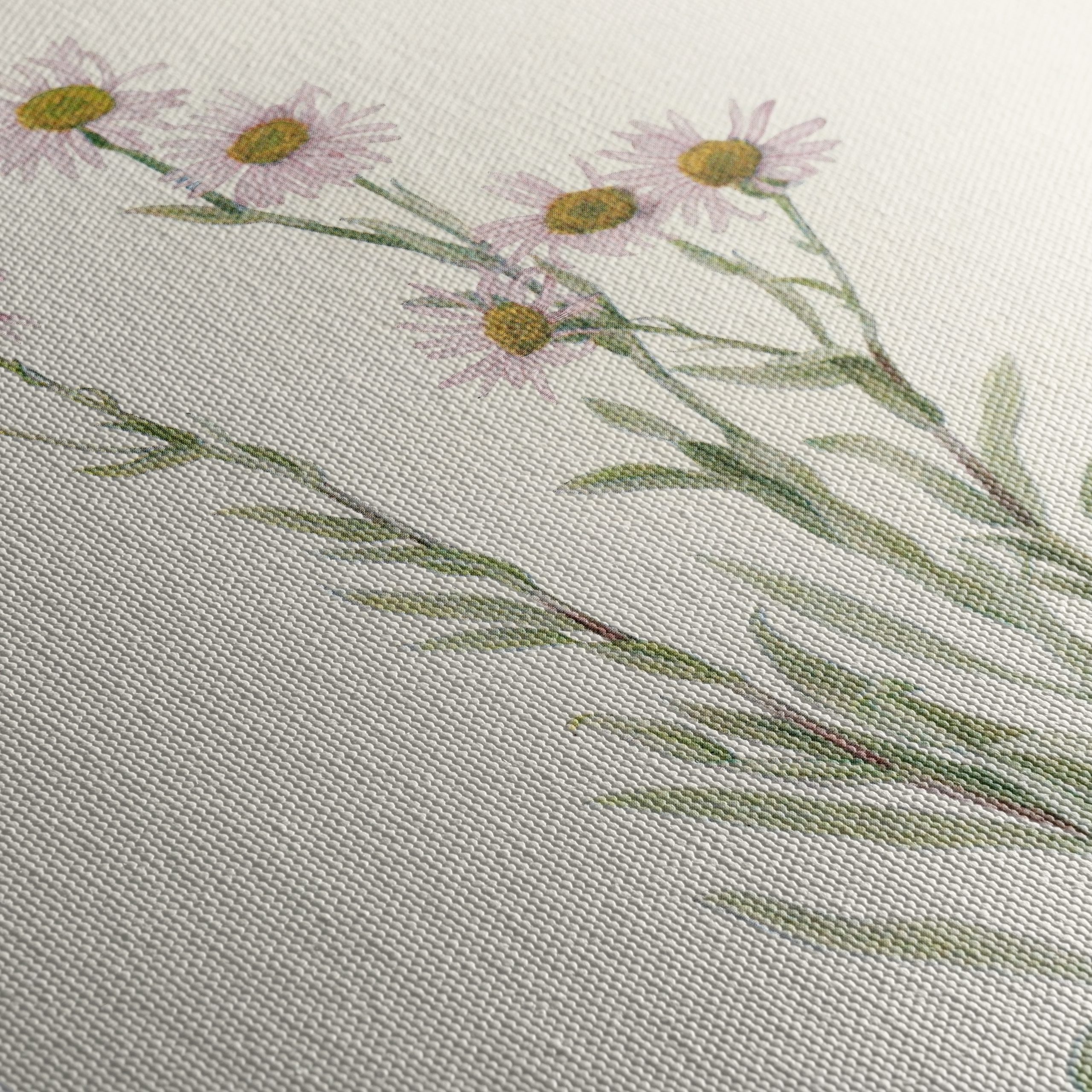 Delicate Floral Botanical Art 5 - Image 5