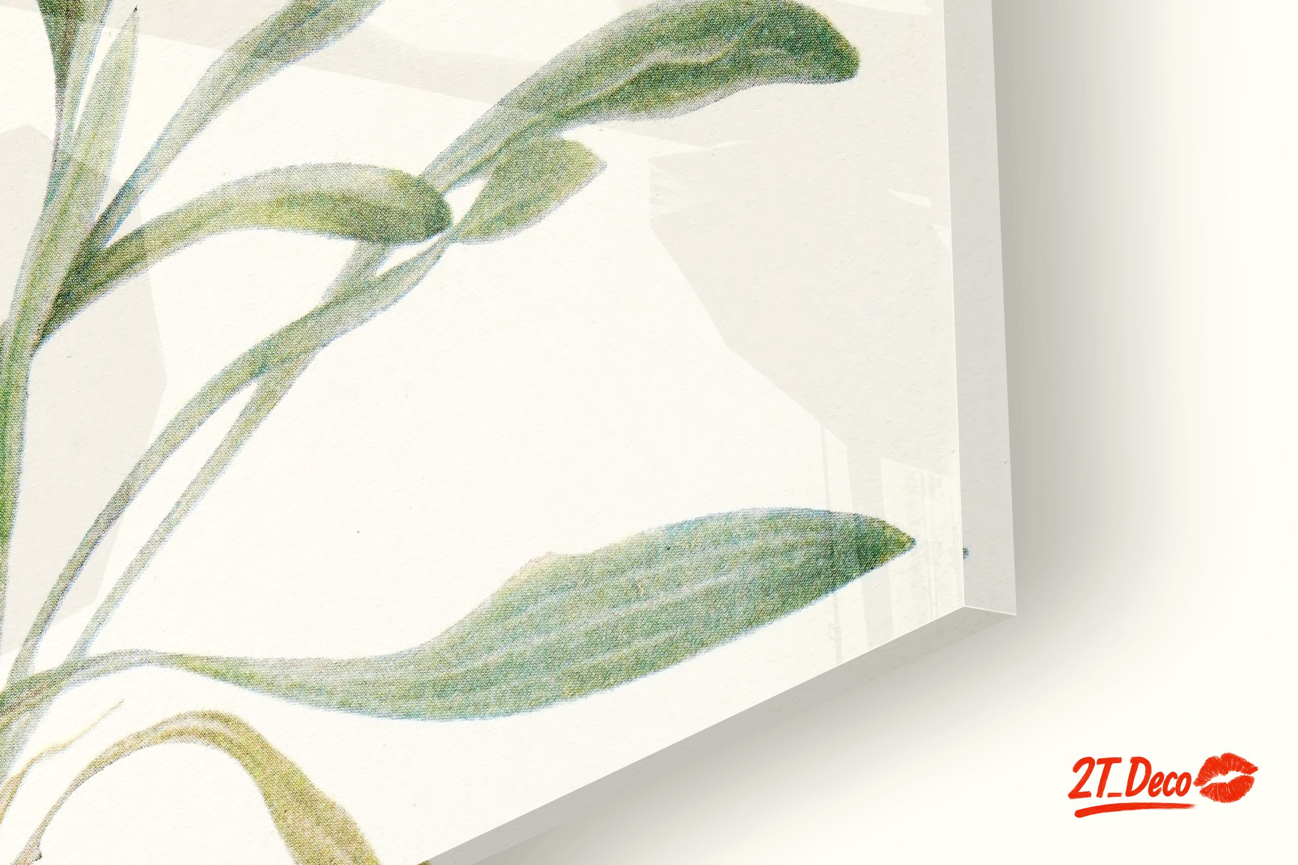 Delicate Floral Botanical Art 5 - Image 9