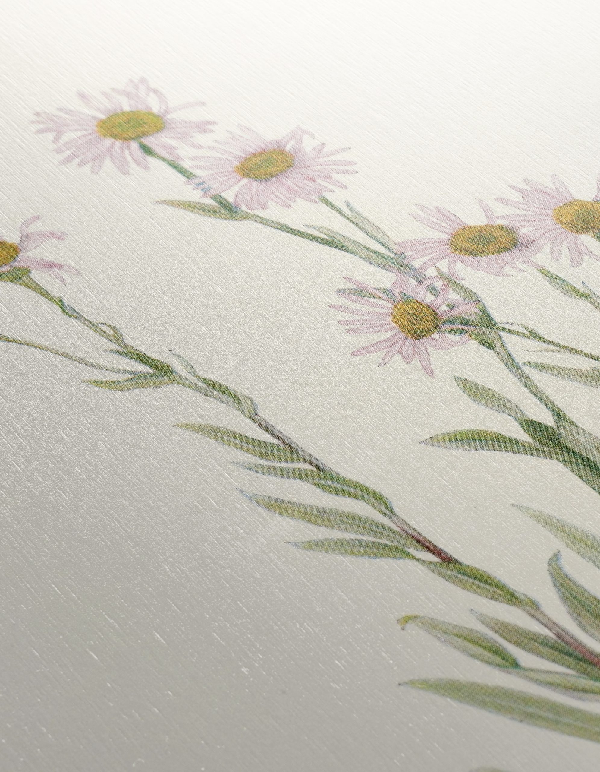 Delicate Floral Botanical Art 5 - Image 12