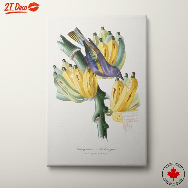 Colorful Botanical Print with Bird and Bananas