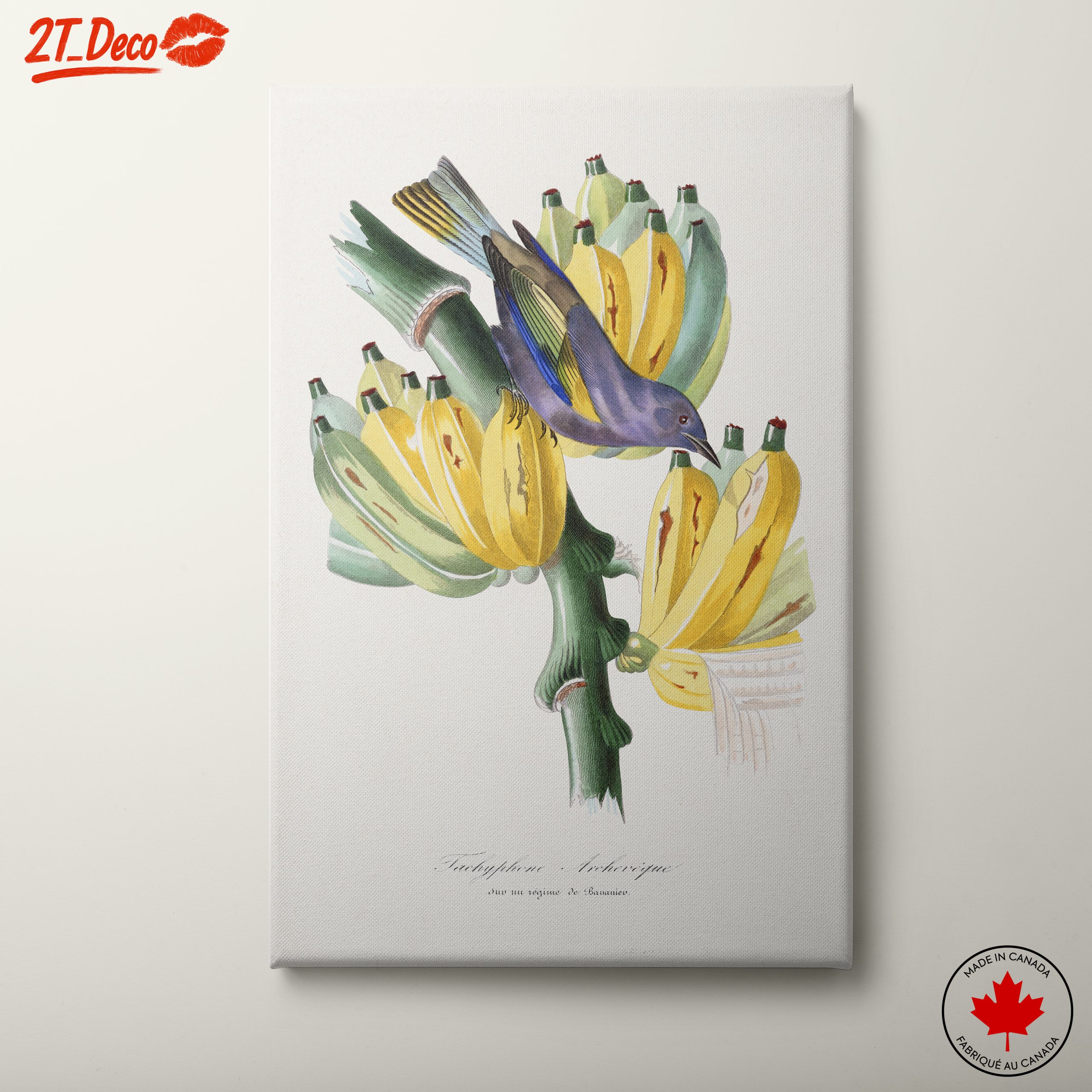 Colorful Botanical Print with Bird and Bananas