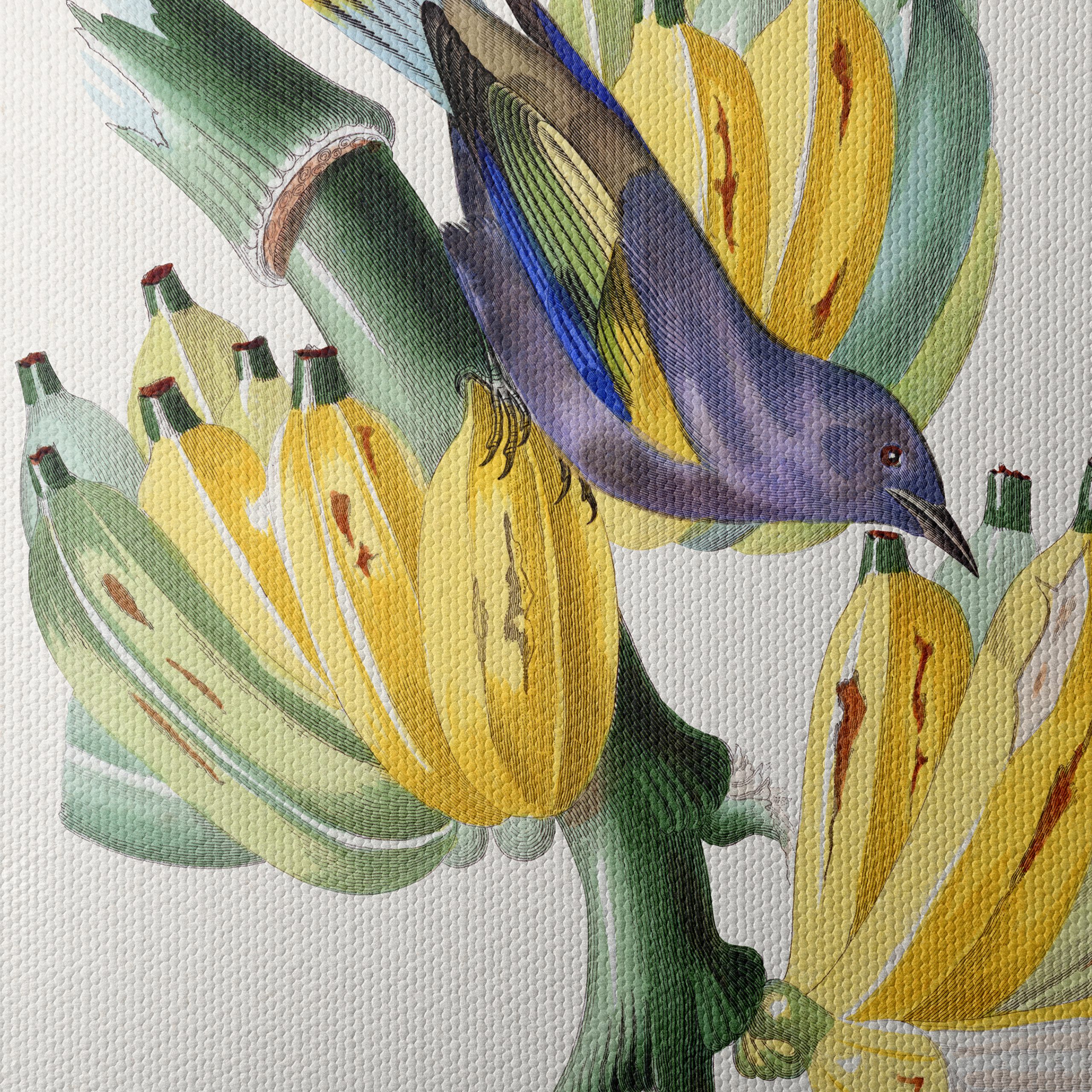Colorful Botanical Print with Bird and Bananas - Image 4