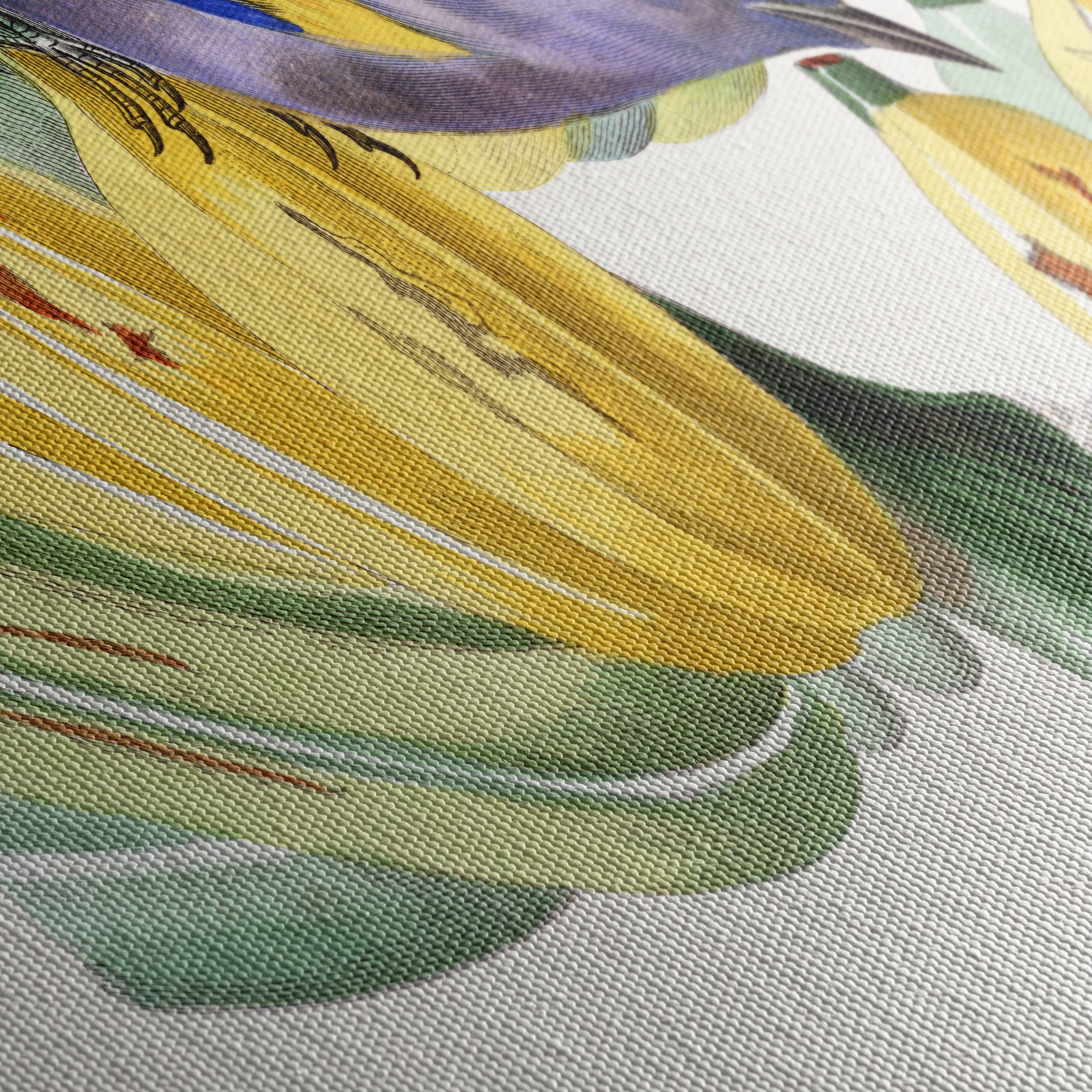 Colorful Botanical Print with Bird and Bananas - Image 5