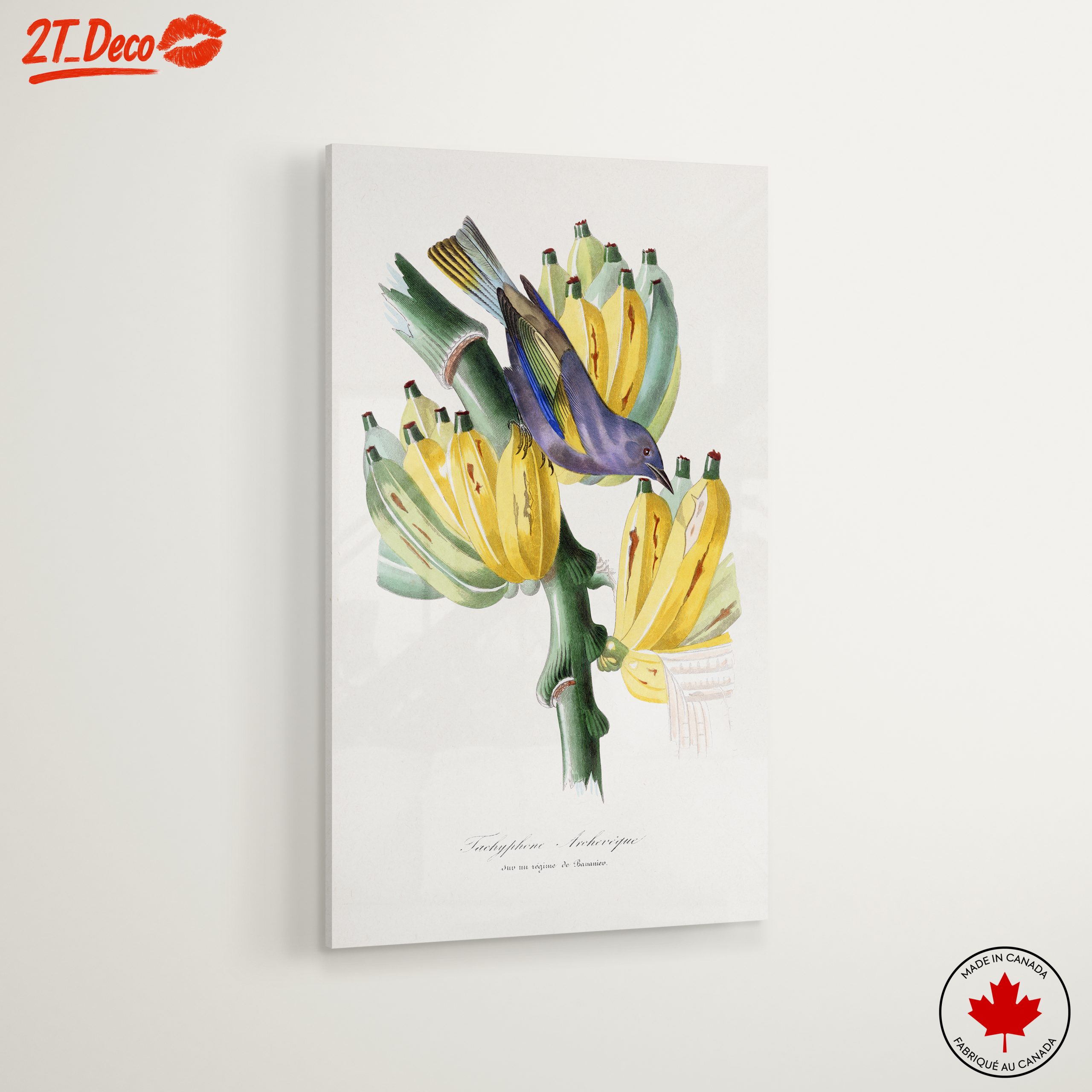 Colorful Botanical Print with Bird and Bananas - Image 6