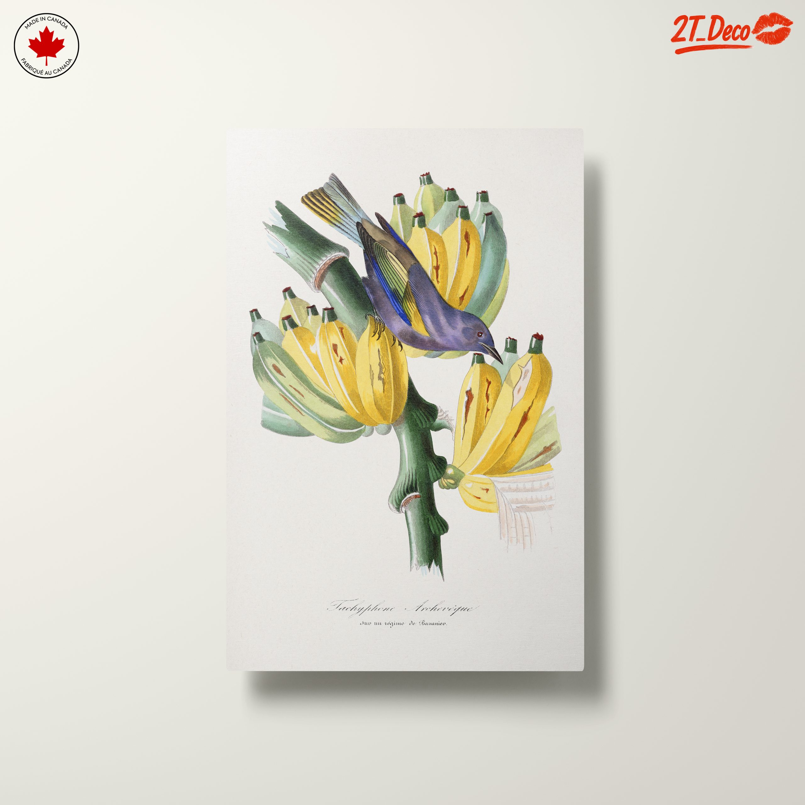 Colorful Botanical Print with Bird and Bananas - Image 10