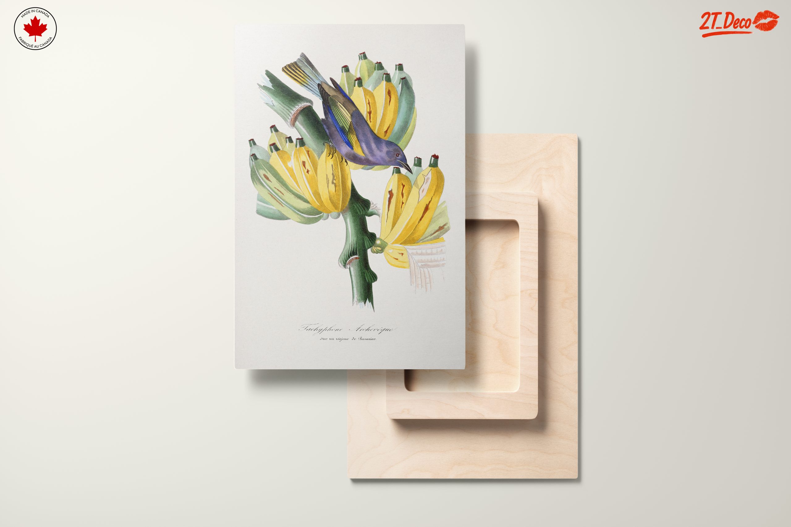 Colorful Botanical Print with Bird and Bananas - Image 11