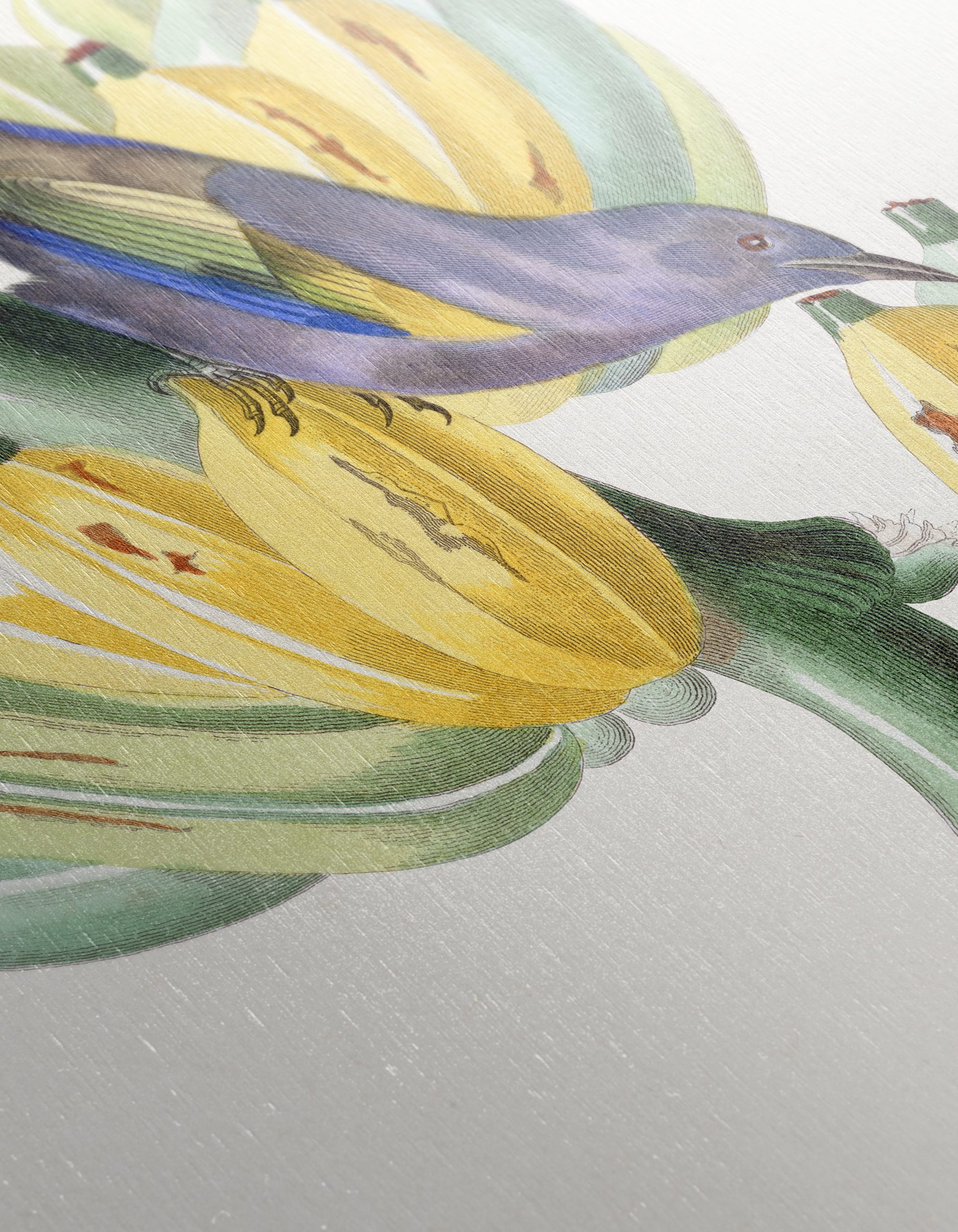 Colorful Botanical Print with Bird and Bananas - Image 12