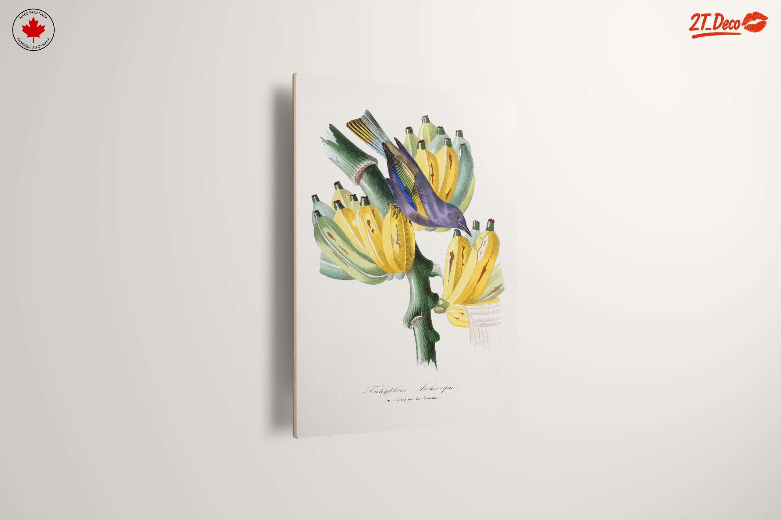 Colorful Botanical Print with Bird and Bananas - Image 13
