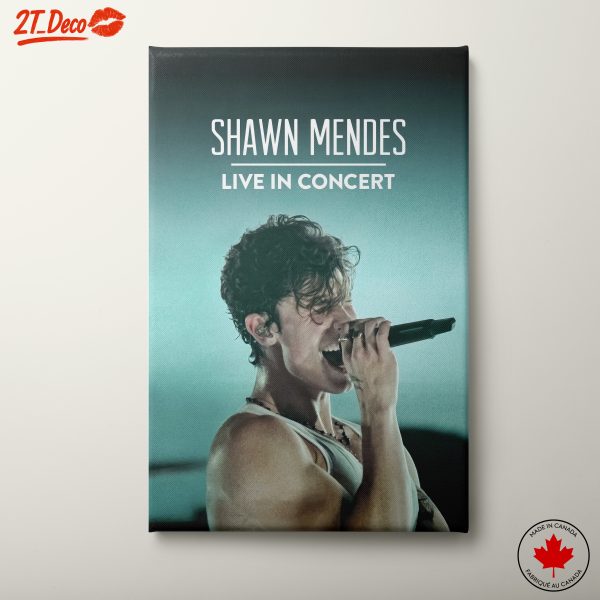 Shawn Mendes Live in Concert Artwork
