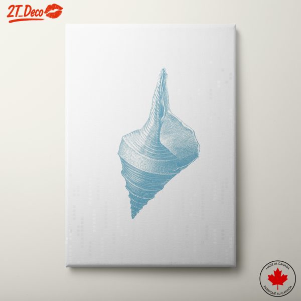 Elegant Shell Botanical Art 2