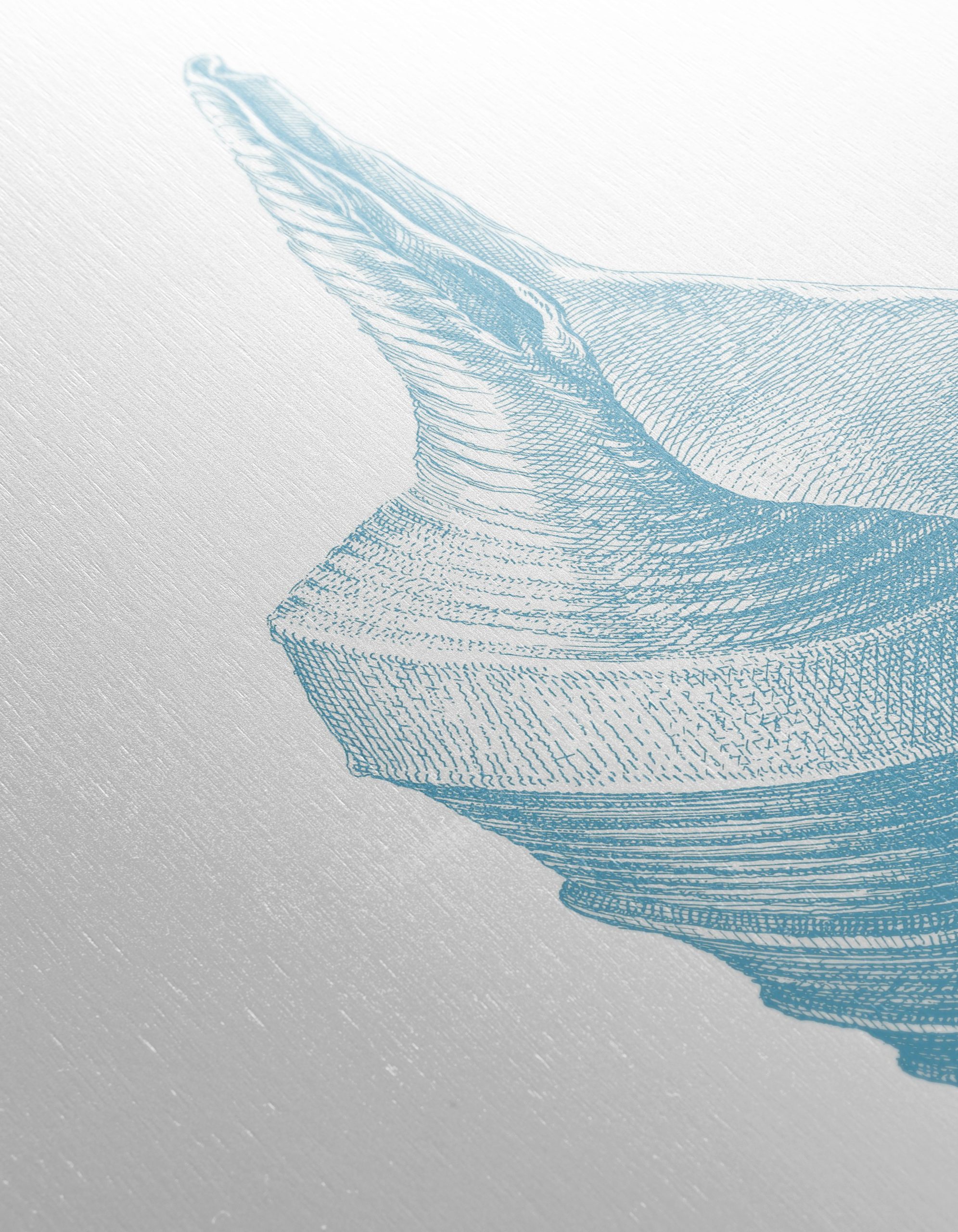 Elegant Shell Botanical Art 2 - Image 12