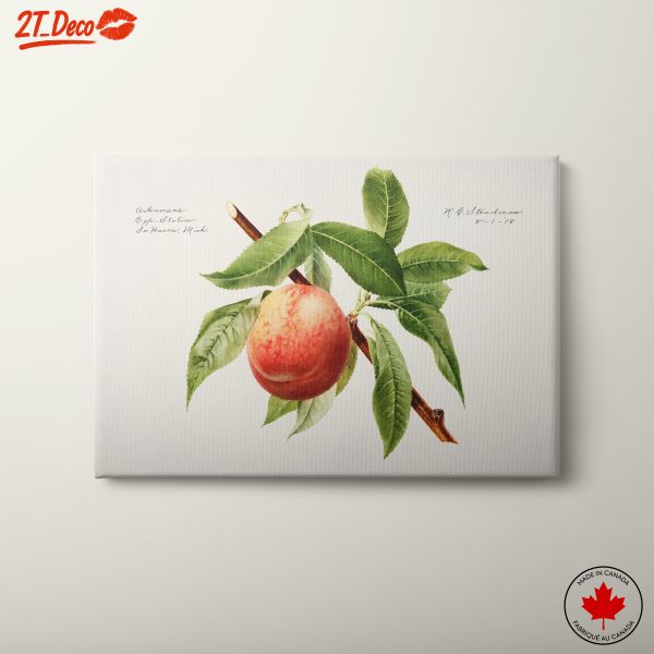 Vibrant Botanical Apple Artwork
