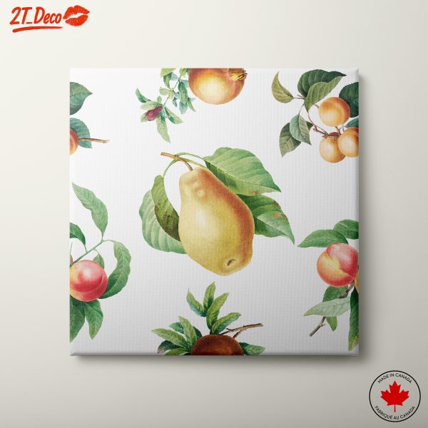 Vibrant Botanical Fruit Illustrations