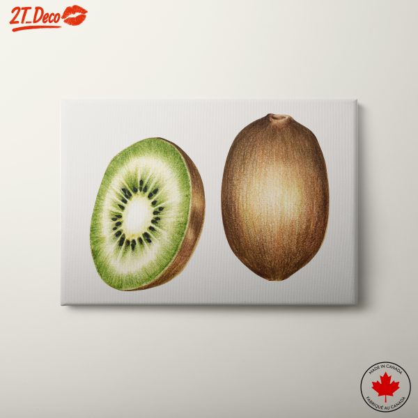 Stylized Kiwi Fruit Art