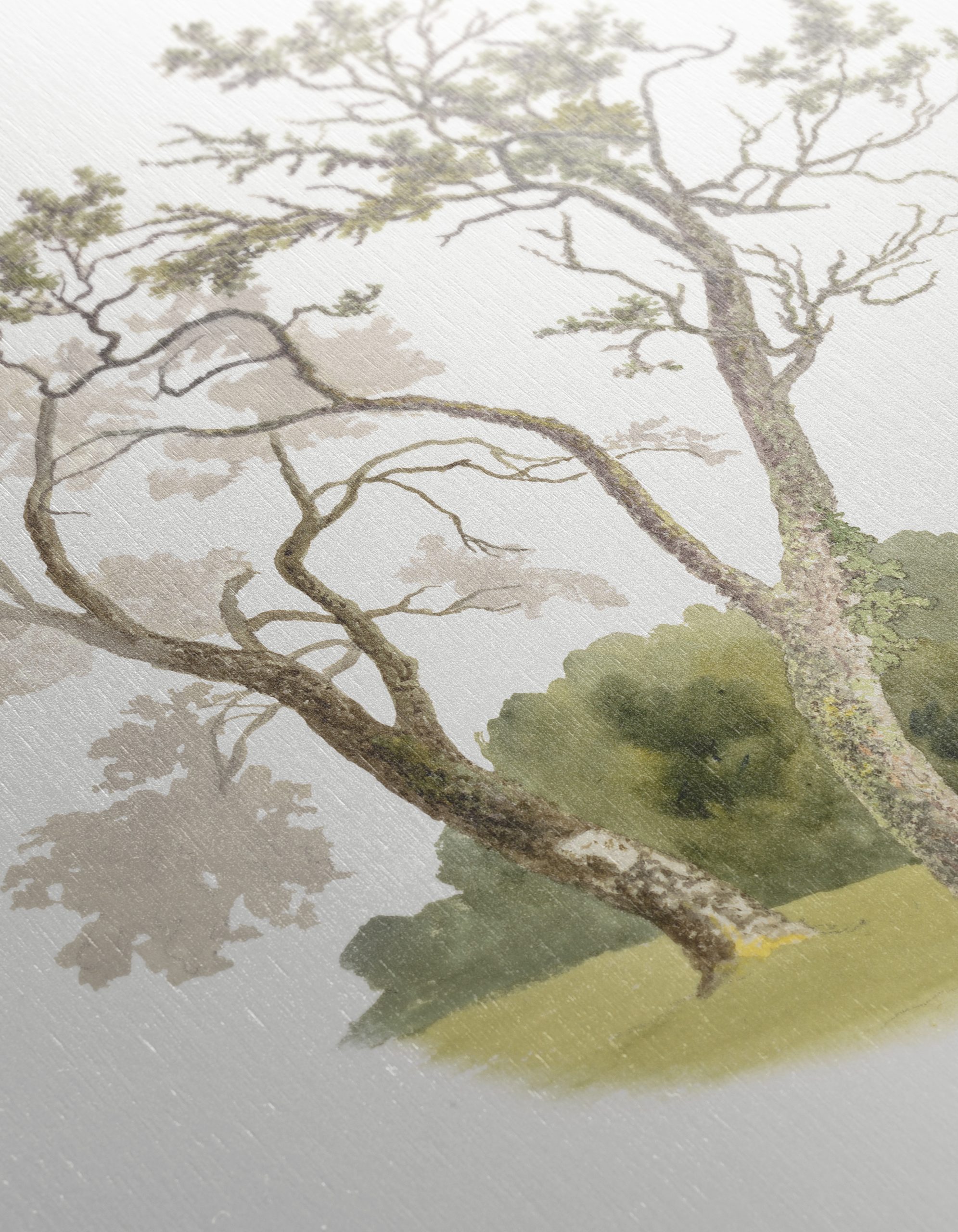 Serene Botanical Tree Landscape - Image 12