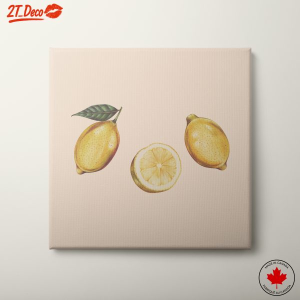 Artistic Abstract Lemons Composition