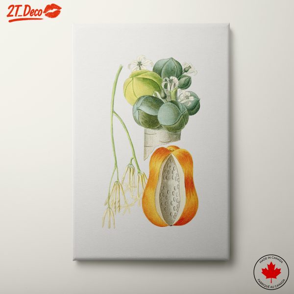 Colorful Botanical Papaya Still Life