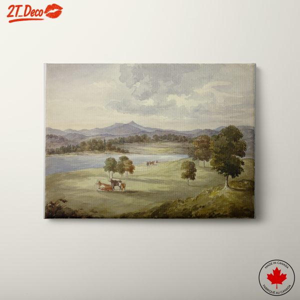 Serene Rural Landscape with Cows and Mountains