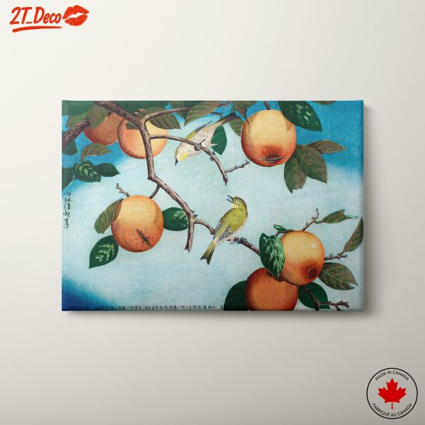 Charming Botanical Artwork of Fruit and Birds