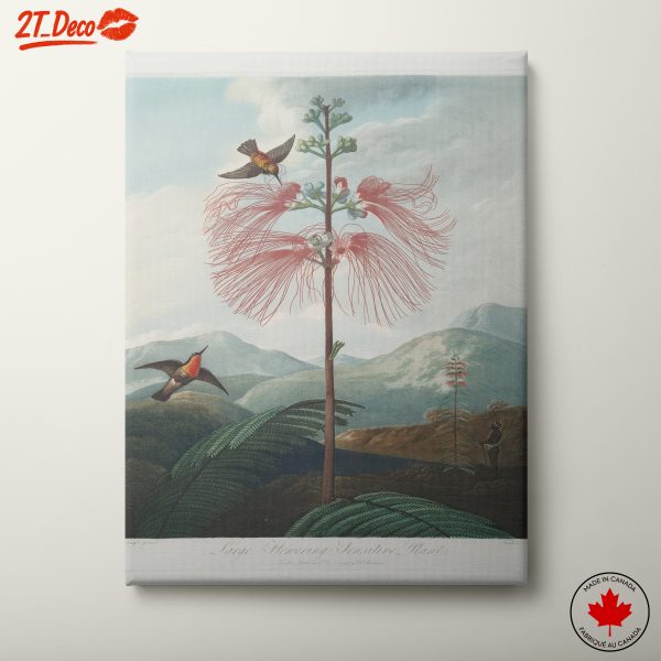 Beautiful Botanical Illustration of a Flowering Plant