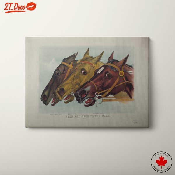 Artistic Portraits of Horses