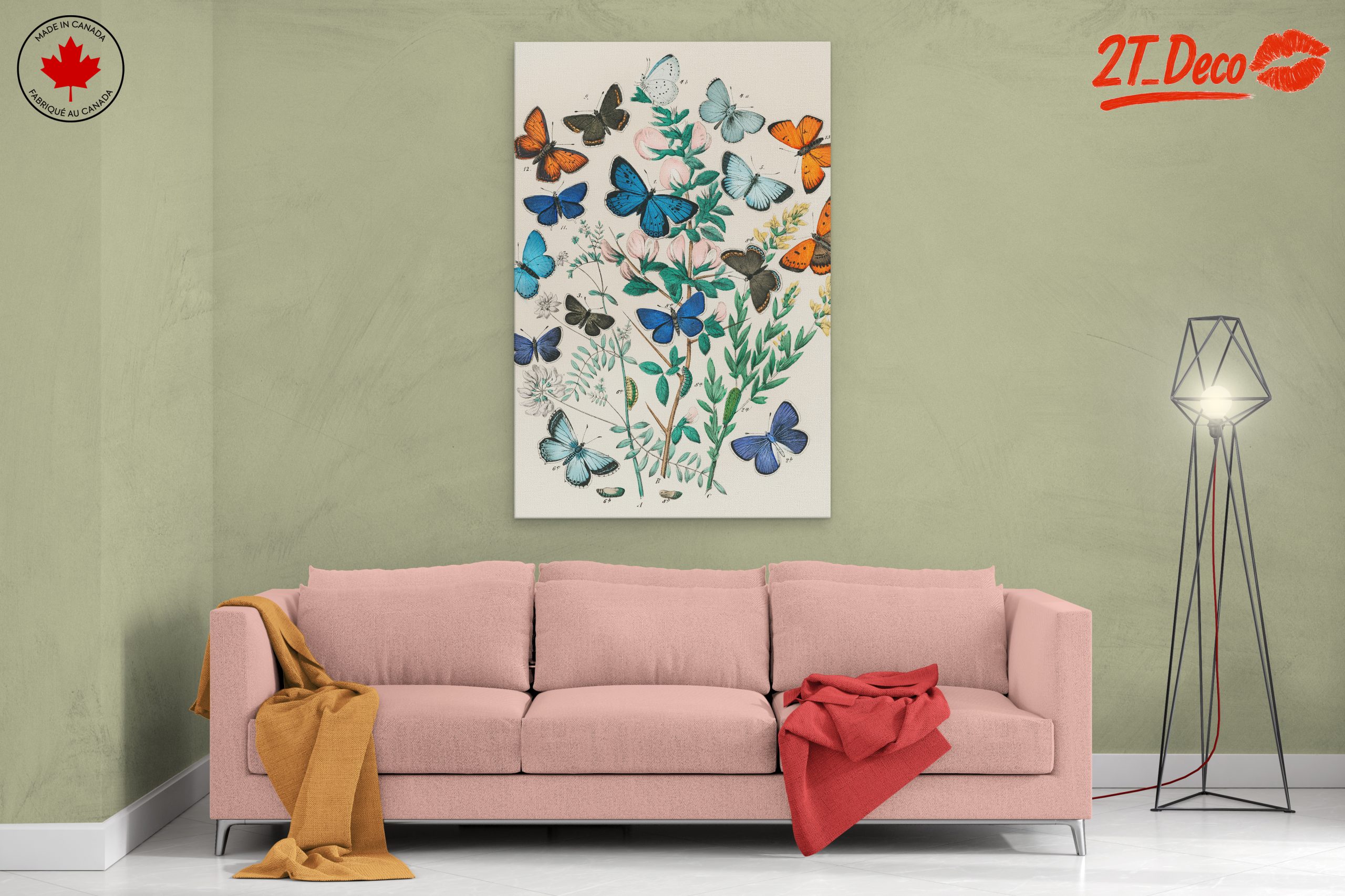 Beautiful Botanical Butterfly Illustrations - Image 2