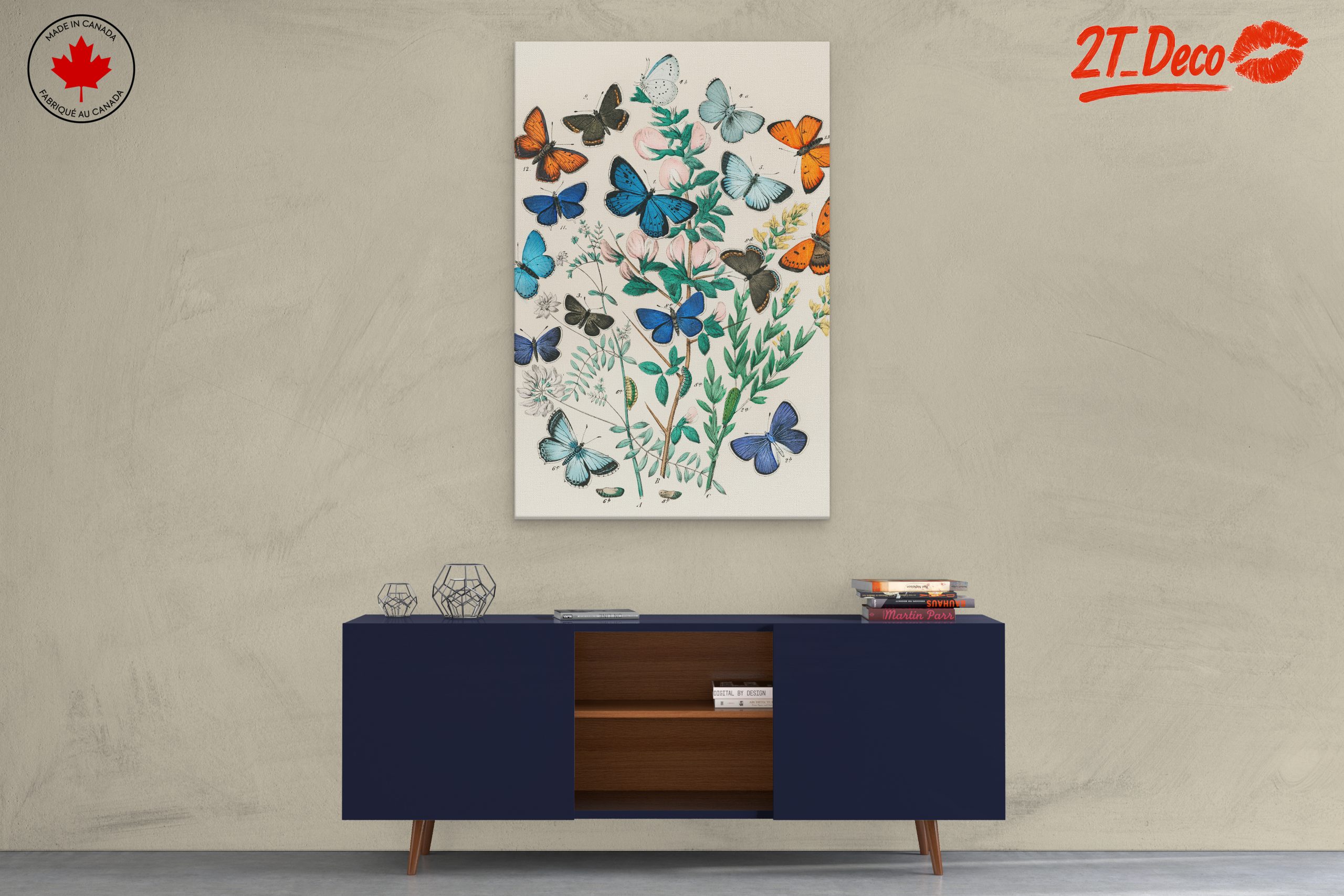 Beautiful Botanical Butterfly Illustrations - Image 3