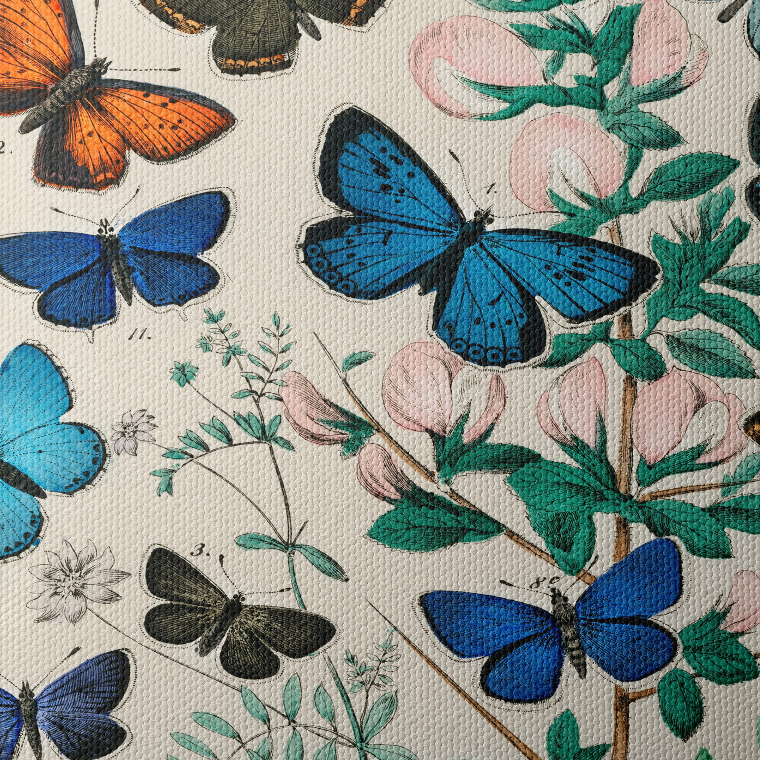 Beautiful Botanical Butterfly Illustrations - Image 4