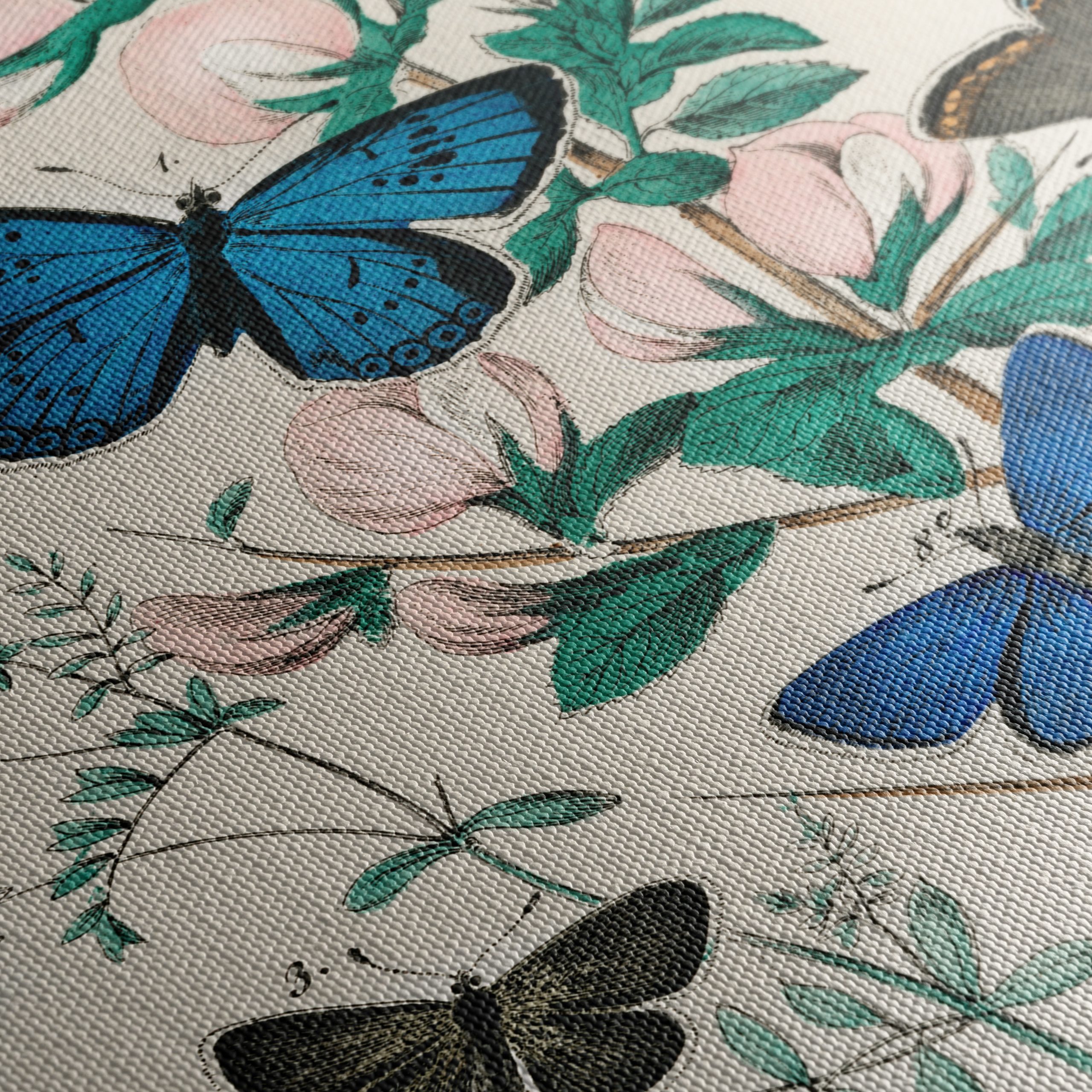 Beautiful Botanical Butterfly Illustrations - Image 5
