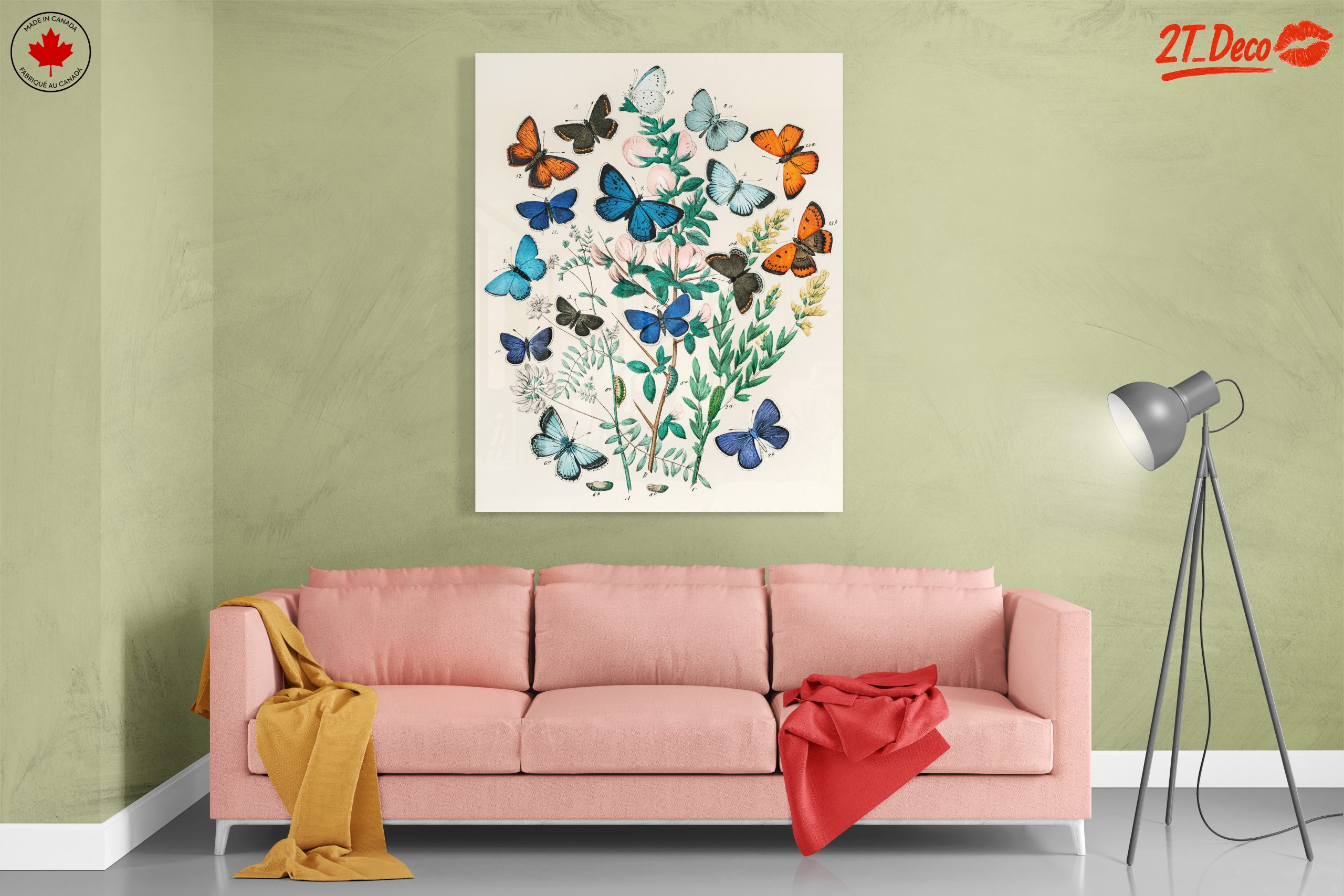 Beautiful Botanical Butterfly Illustrations - Image 7