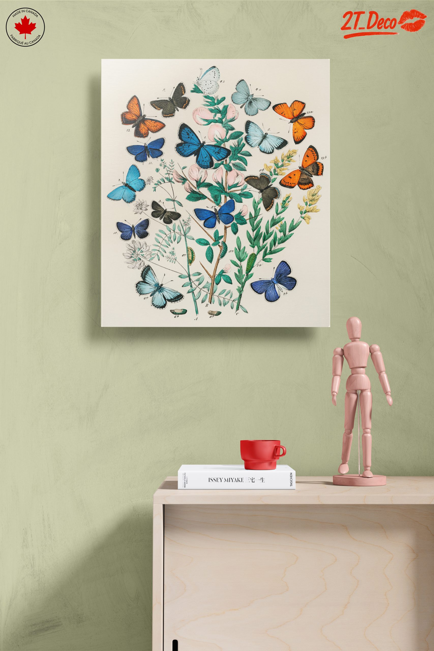 Beautiful Botanical Butterfly Illustrations - Image 14