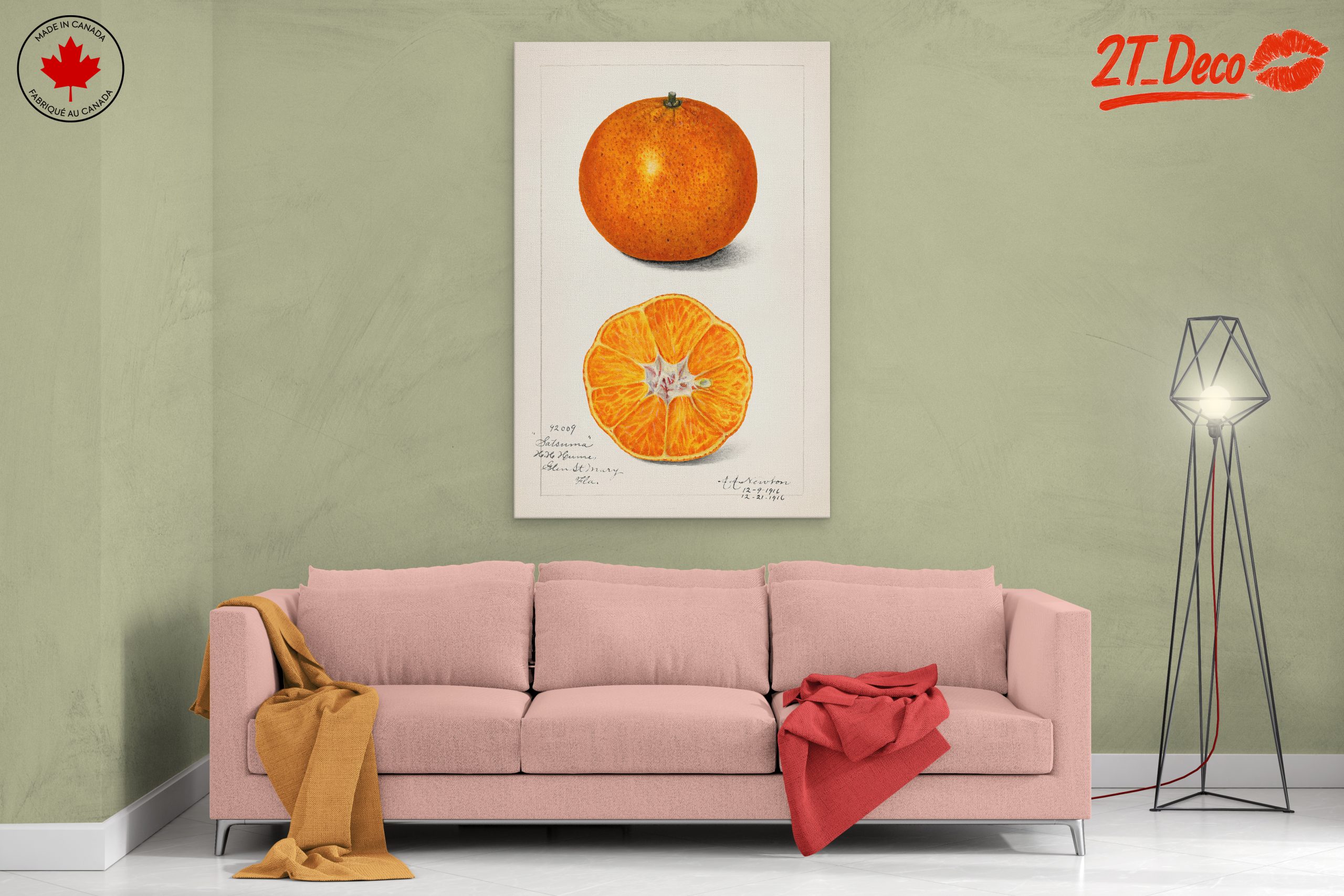 Stylized Satsuma Orange Illustration - Image 2