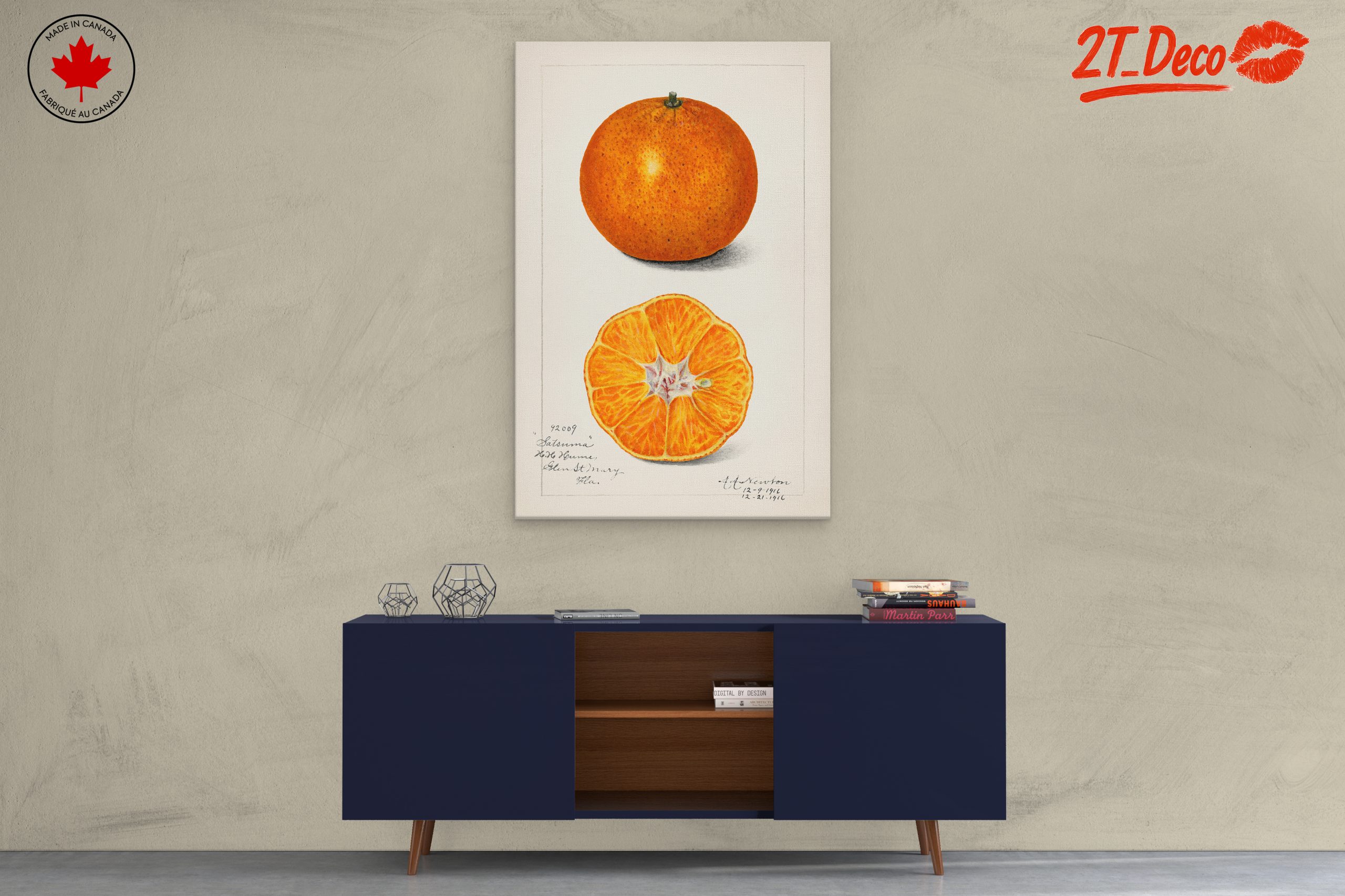 Stylized Satsuma Orange Illustration - Image 3