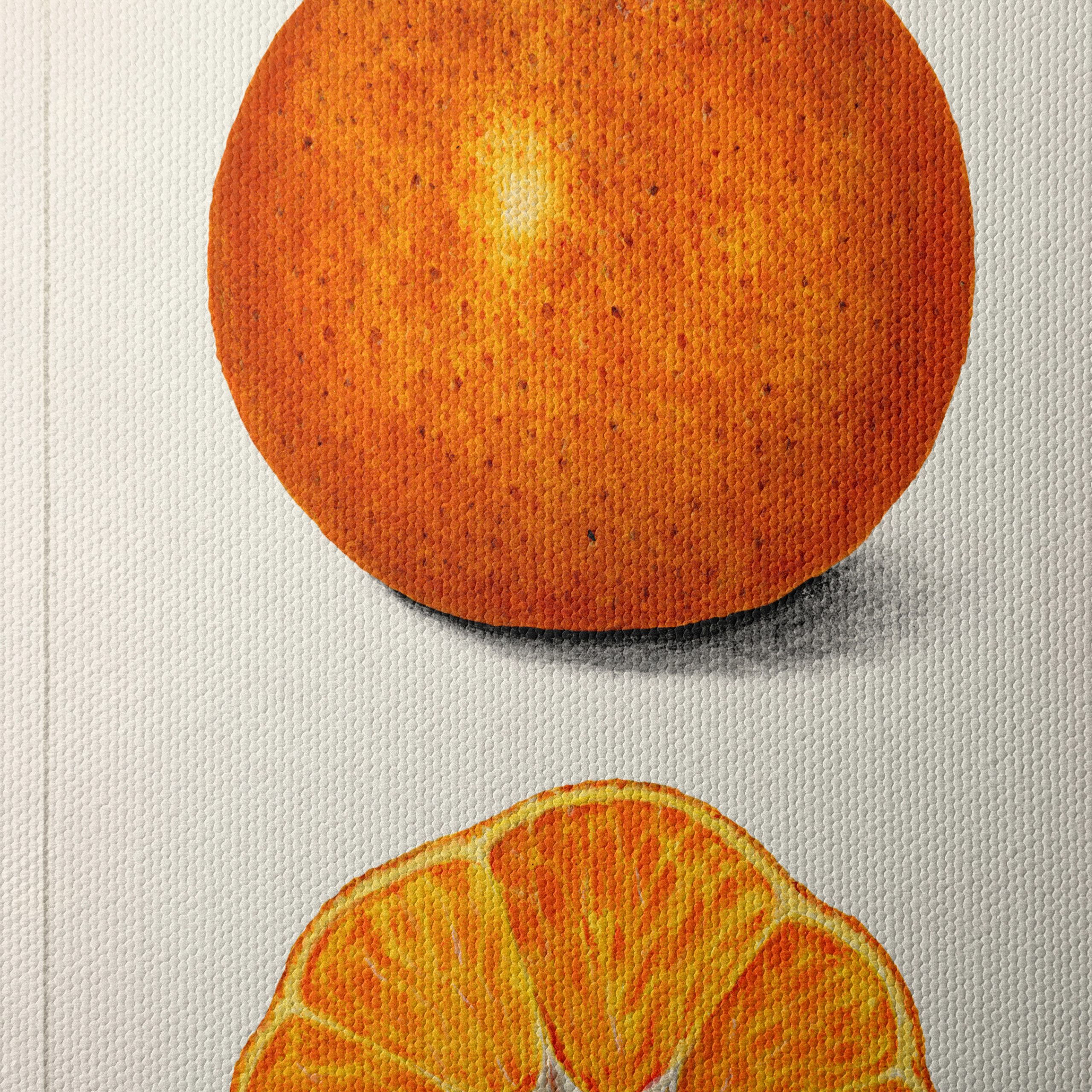 Stylized Satsuma Orange Illustration - Image 4