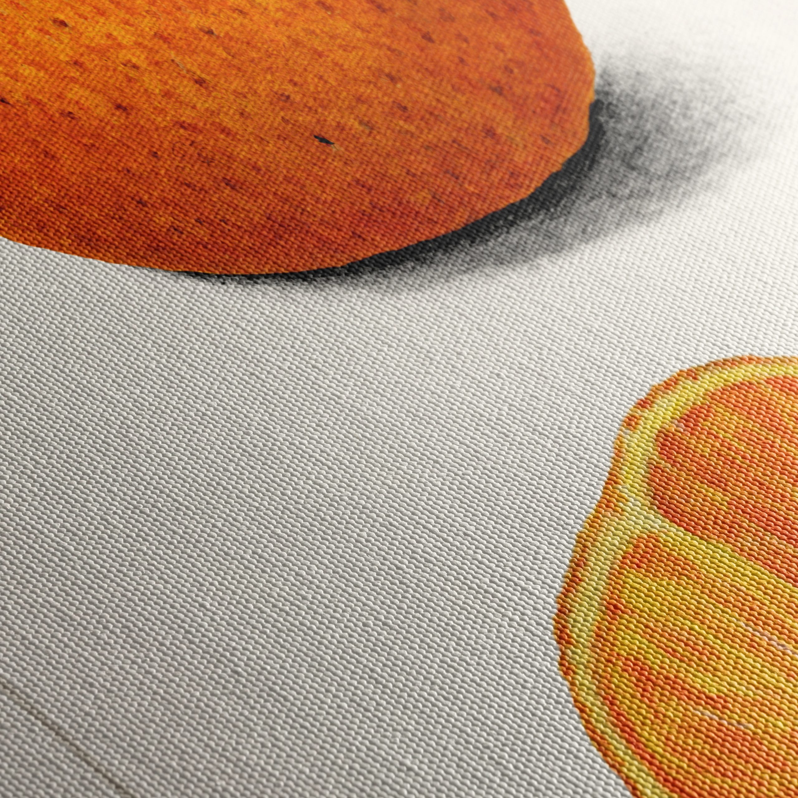Stylized Satsuma Orange Illustration - Image 5