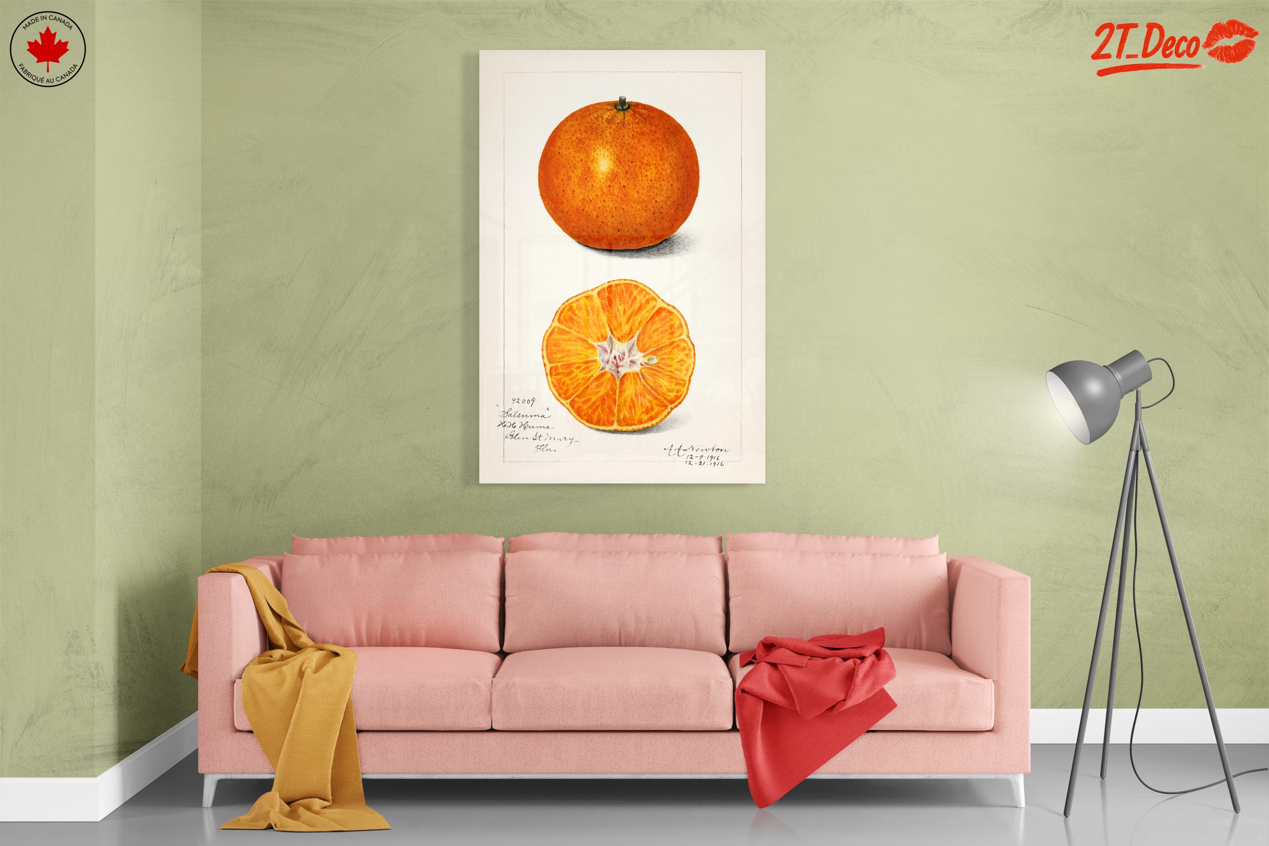 Stylized Satsuma Orange Illustration - Image 7