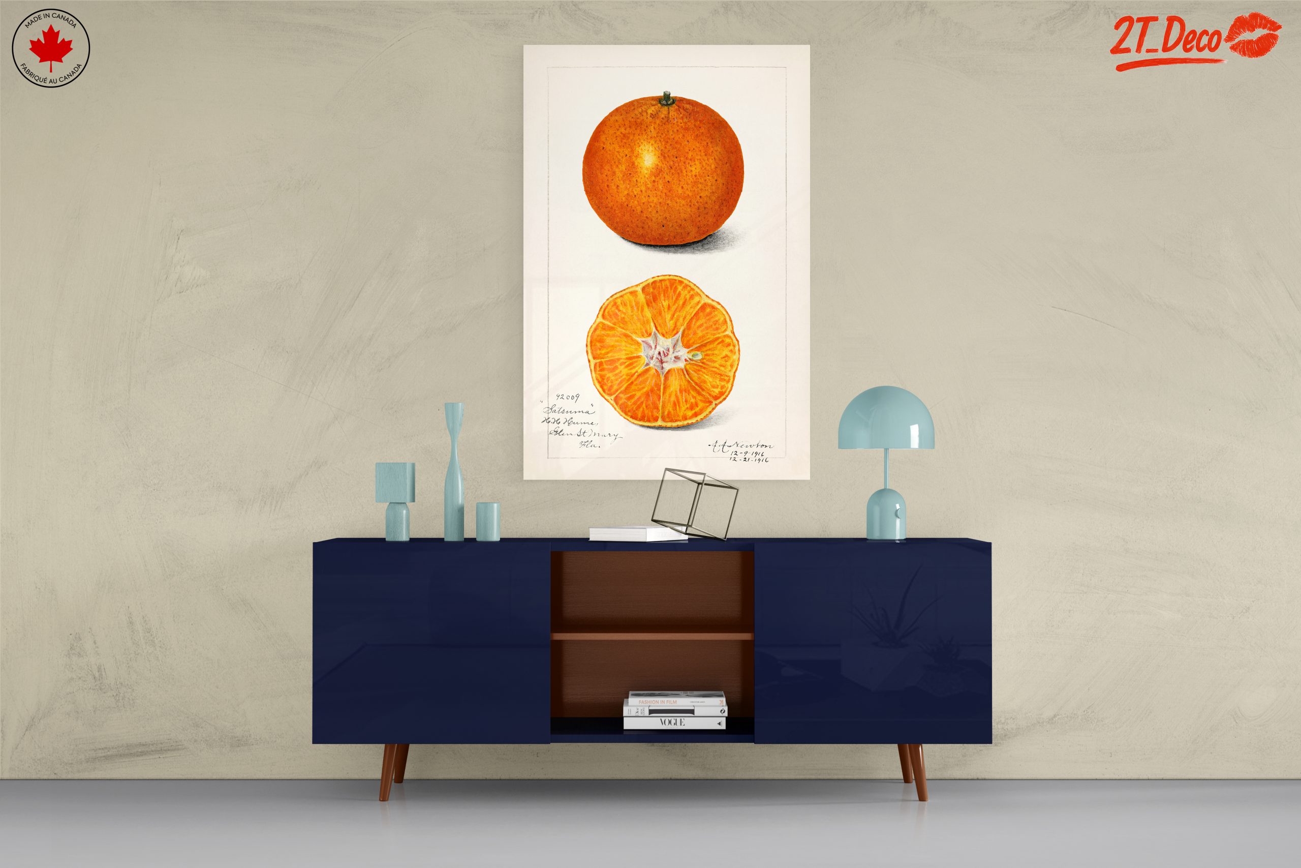 Stylized Satsuma Orange Illustration - Image 8