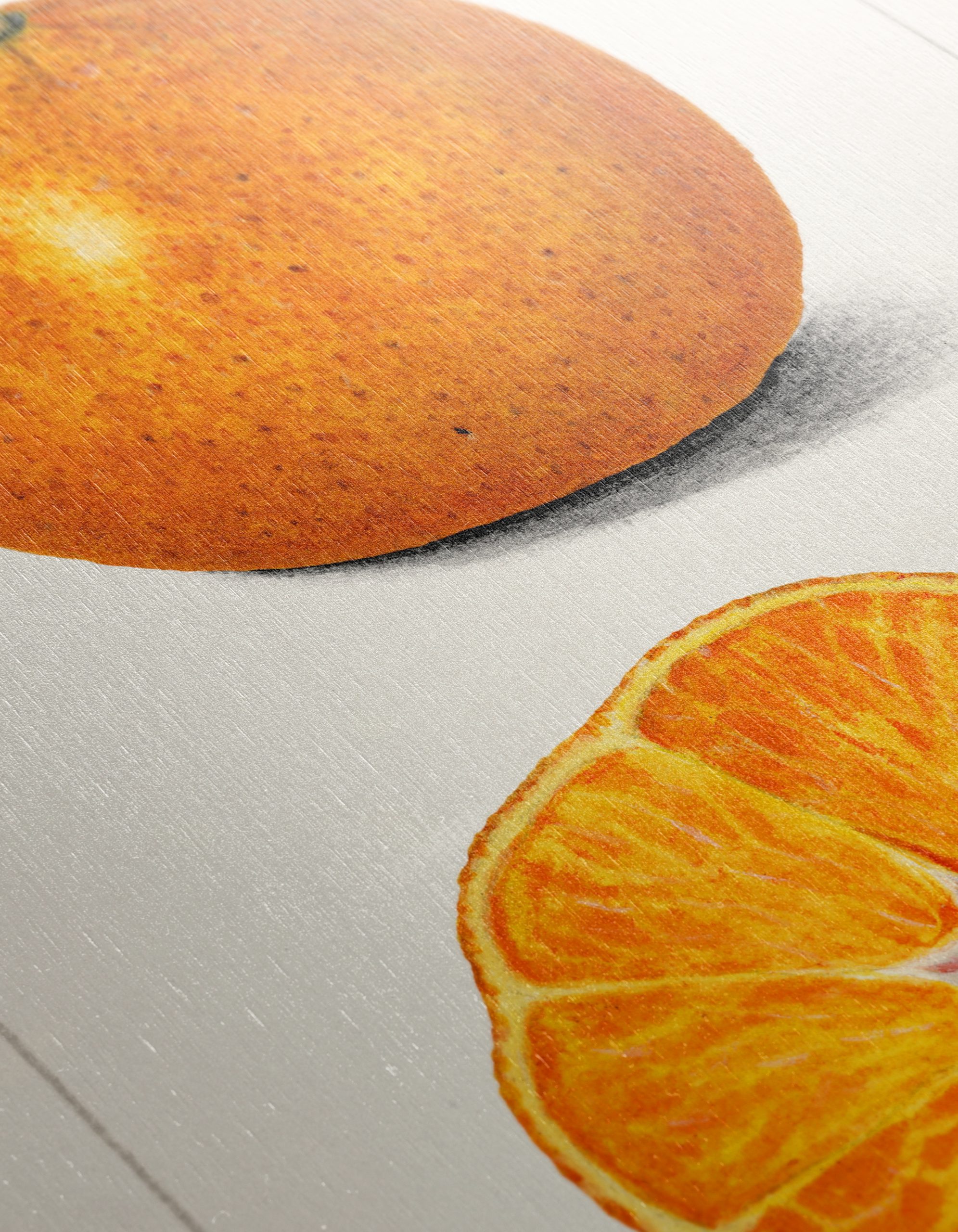 Stylized Satsuma Orange Illustration - Image 12