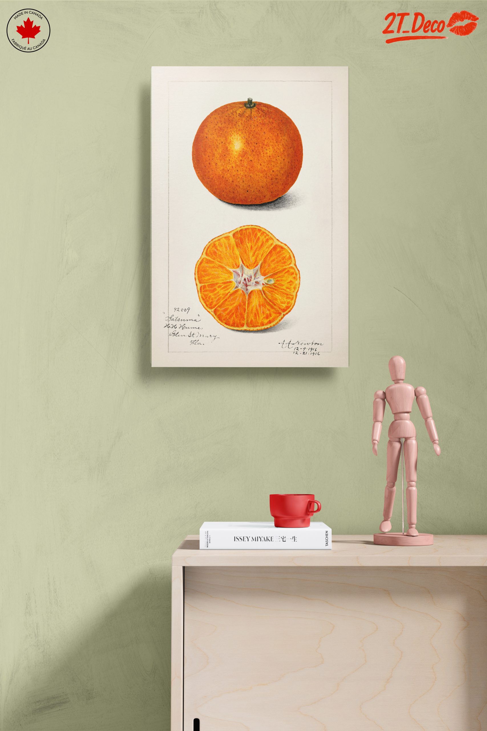 Stylized Satsuma Orange Illustration - Image 14