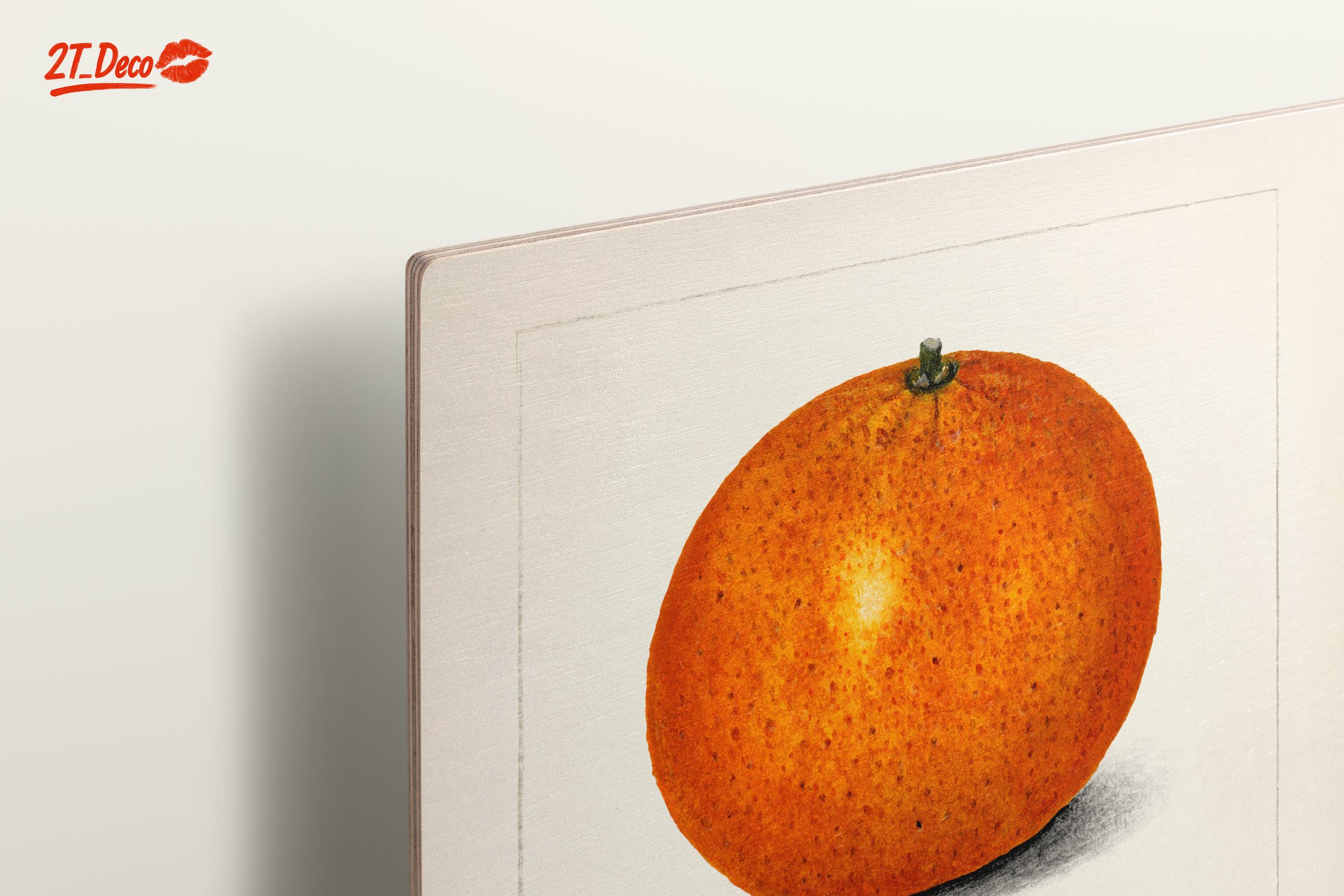 Stylized Satsuma Orange Illustration - Image 15