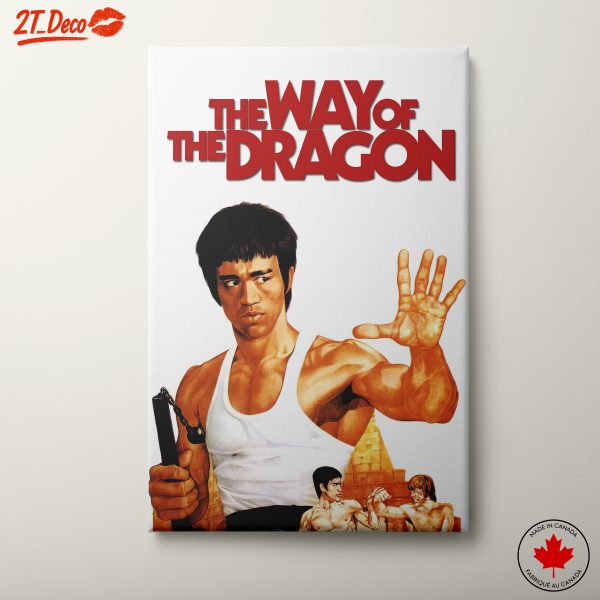 The Way of the Dragon Anime Artwork