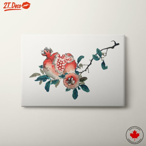 Watercolor Botanical Pomegranate Art