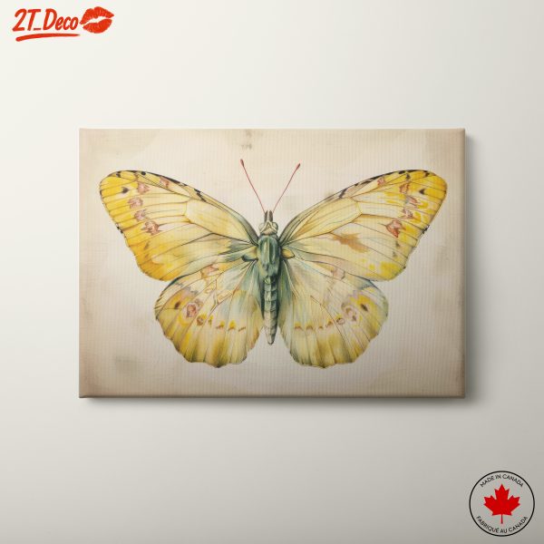 Detailed Yellow Butterfly Art
