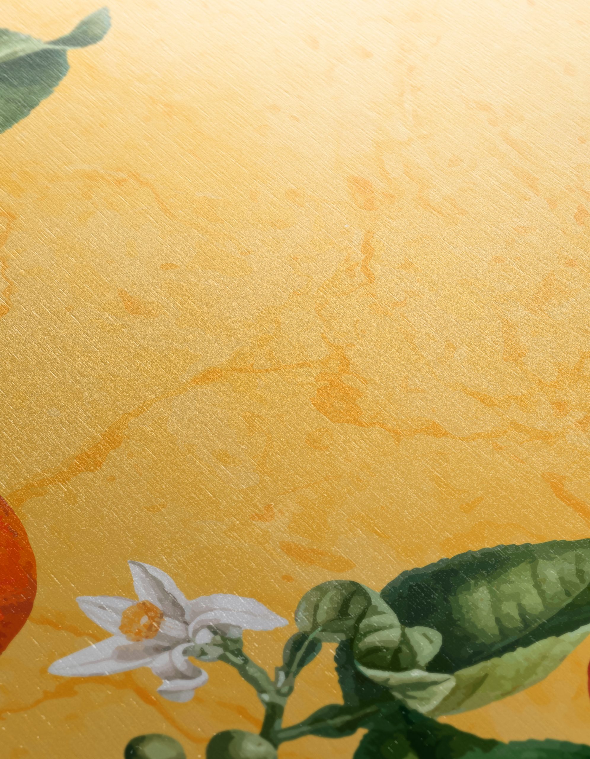 Vibrant Botanical Art of Oranges - Image 12