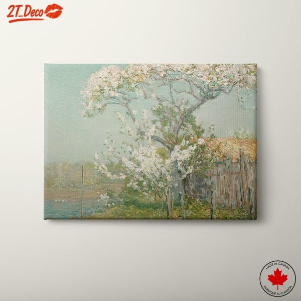 Blooming Trees in Nature