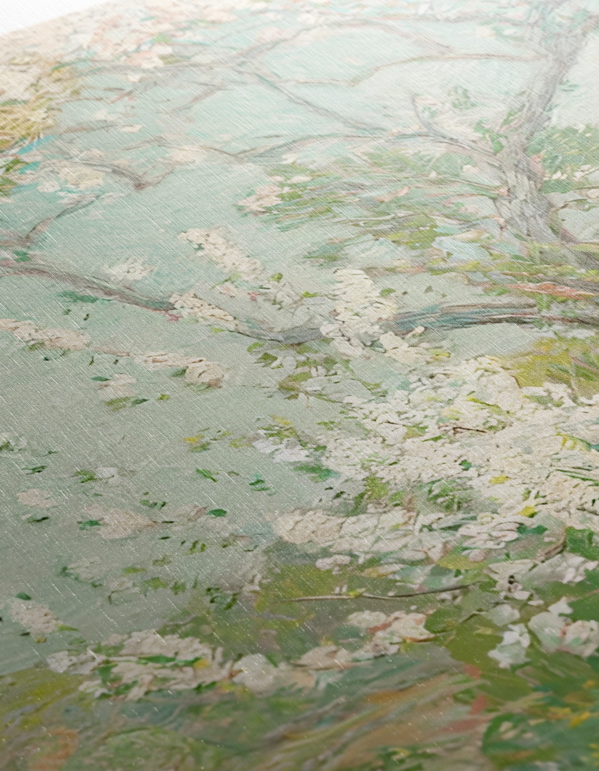 Blooming Trees in Nature - Image 12