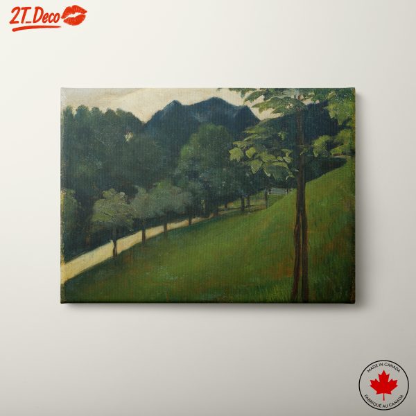 Serene Nature Landscape With Trees and Mountains