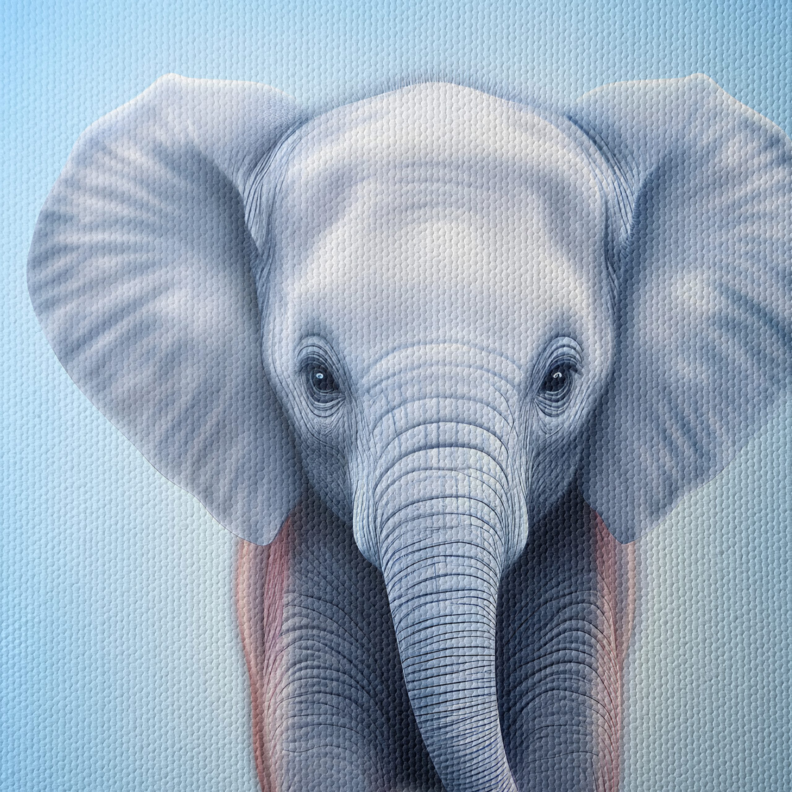 Adorable Elephant Illustration Art - Image 4
