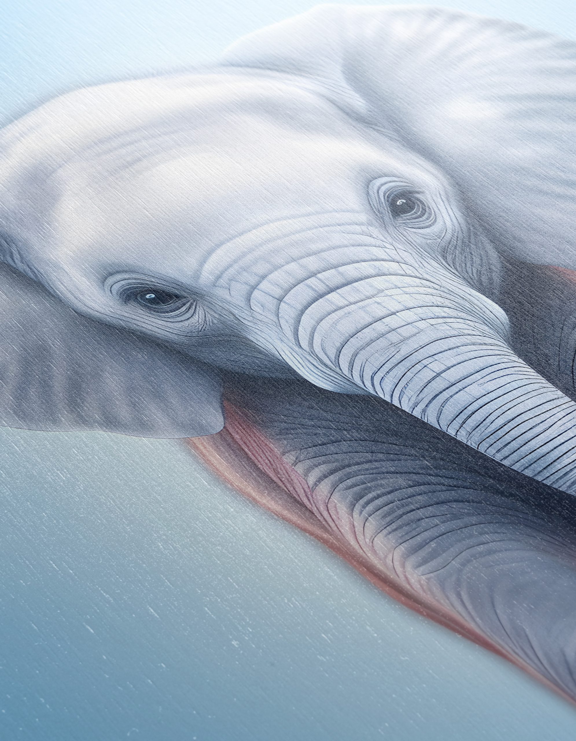 Adorable Elephant Illustration Art - Image 12